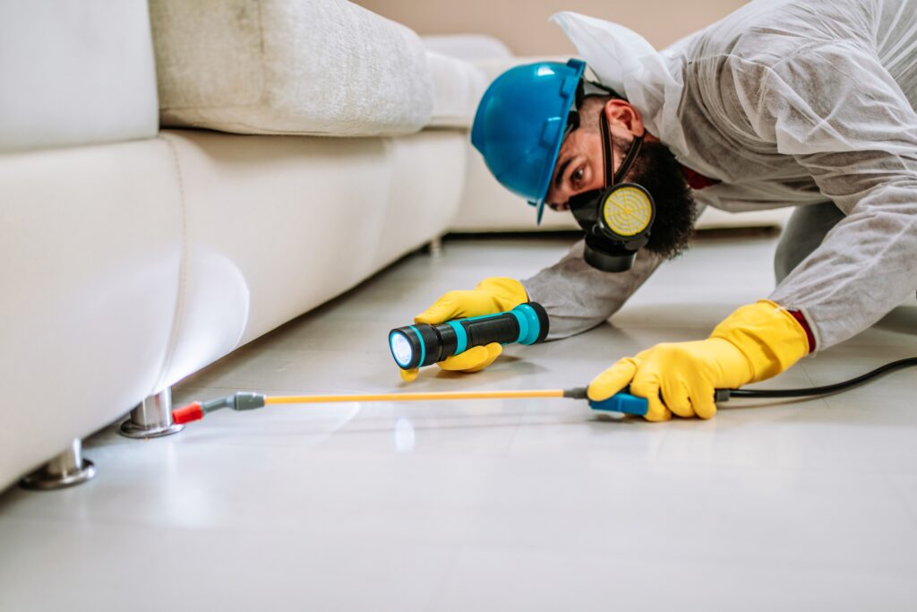 Lemon Grove Termite Control