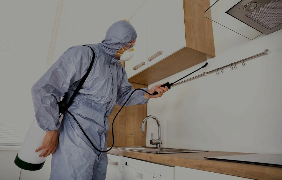 Lemon Grove pest managment